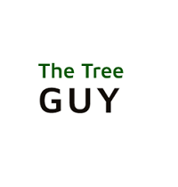 Avatar:  The Tree Guy